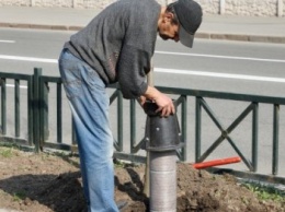 В Харькове внедряют новую технологию полива деревьев