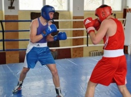 В Олешках прошел Чемпионат Херсонской области по боксу среди молодежи