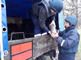 На Луганщине вчера изъяли мины и снаряды