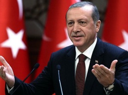 Турция одобрила ракетный удар США по авиабазе в Сирии