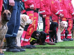 В Павлограде проходят Национальные соревнования собак-спасателей