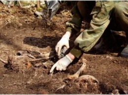 В Херсонской области обнаружили останки двух неизвестных солдат