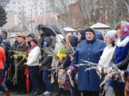 Православные Бердянска отметили Вербное воскресенье