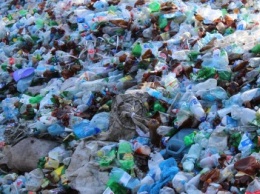 Выбрасывай правильно: куда и за сколько можно отдать отработанный пластик