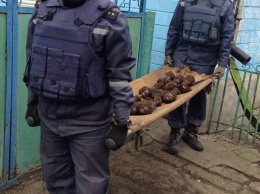 На Николаевщине во дворе частного дома во время земляных работ нашли более 20 минометных мин