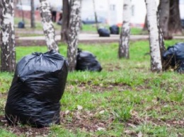 В Чистый четверг в Днепре активно начнут убирать мусор и листья