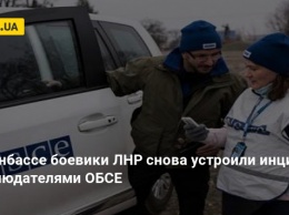На Донбассе боевики ЛНР снова устроили инцидент с наблюдателями ОБСЕ