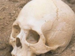 Найдены останки английского священника, 700 лет назад умершего от голода