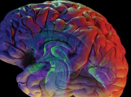 Изменение карты мозга меняет восприятие пространства - Ученые