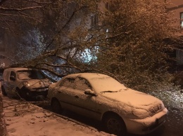 Апрельский снегопад в Харькове "наломал дров" и повредил машины
