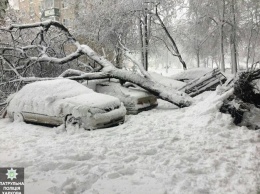 Так себе апрель: упавшие от ветра и снега деревья разбили больше десятка машин