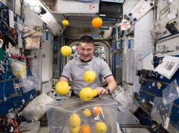 Космонавты решили приготовить на МКС кефир