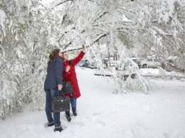 В Харькове выпало рекордное количество снега