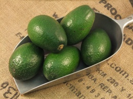 13 причин употреблять авокадо каждый день. После прочтения невозможно перестать его есть