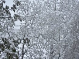 Одесчину накрывает снежная метель