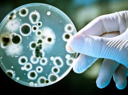 Ученые открыли новое оружие в борьбе с устойчивостью к антибиотикам