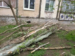 Николаевщина после вчерашнего ухудшения погоды: без электроснабжения 14 населенных пунктов