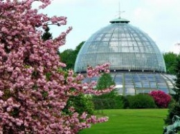 Королевские оранжереи в Брюсселе открыты до 5 мая