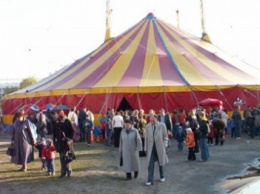В Киеве запретят цирк-шапито с животными