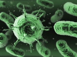 Ученые сделали прорыв в изучении устойчивых бактерий