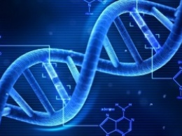 Ученые: Развод приводит к повреждению ДНК