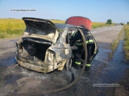 На Черкассчине на автодороге Канев-Чигирин-Кременчуг сгорела Лада Калина. ФОТО+видео