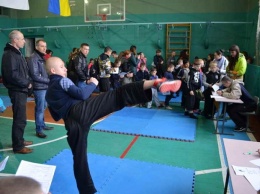 В Северодонецке прошли спортивные игры единоборств "Молодой Тигр" - весенний сезон 2017 (Фото)