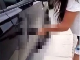 Набирает популярность видео, на котором девушка чинит автомобиль фаллоимитатором
