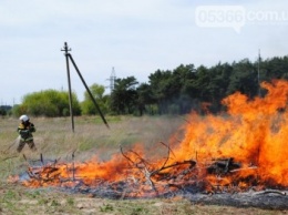 Как кременчугские спасатели и лесники тушили "лесной пожар" под Кременчугом (фоторепортаж)
