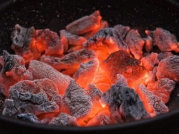 Как выбрать уголь для шашлыка