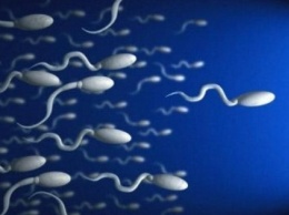 Сперматозоиды могут лечить женскую онкологию