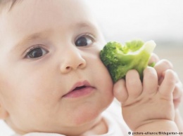 Немецкие врачи: Чем кормить ребенка до года?