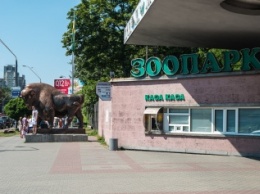 Столичный зоопарк заработал за год более 12 миллионов