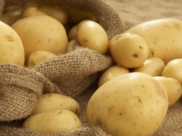 На Днепропетровщине мужчина украл 100 кг картофеля