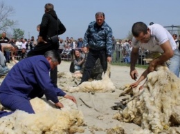 Жители Одесской области устроили первые в Украине соревнования по стрижке овец