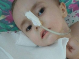 Харьковские врачи пытаются спасти жизнь трехлетней Софийки из зоны АТО с необычной болезнью