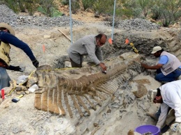 Во Франции палеонтологи нашли останки динозавра, жившего 90 млн лет назад
