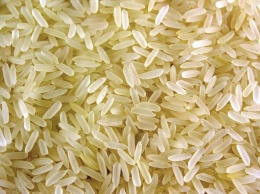 Ученые: Плазма защищает рисовые культуры от заражения