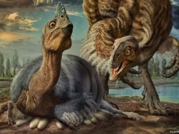 Возвращенные в Китай останки принадлежат неизвестному виду динозавра