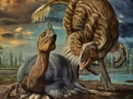 Вокруг света: Ученые открыли новый вид гигантских пернатых динозавров Beibeilong (ФОТО)