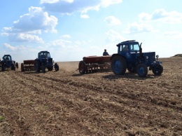 "Аграрные расписки": В Николаевской области стартовало внедрение нового финансового инструмента