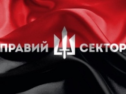 «Правый сектор» похитил народного депутата