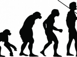 Ученые: Доказано общее эволюционное происхождение животных и человека