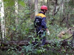 89-пенсионерка выжила, проведя в лесу Подмосковья двое суток