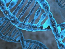 Генетическая память предков может передаваться на протяжении 14 поколений