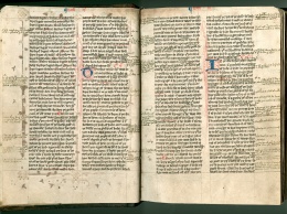 Новый Завет поможет в спасении исчезающих языков