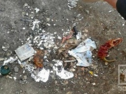 В Кривом Роге возле мусорного бака нашли особо опасное вещество (ФОТО)