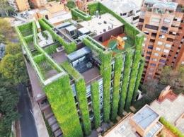 И красиво, и практично: дом с «зеленым» фасадом, обеспечивающим кислородом несколько тысяч человек