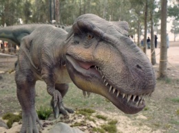Ученые: Динозавр T-Rex мог раздавить одним укусом три автомобиля