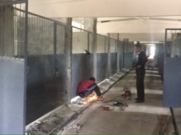 В Кривом Роге в приюте для бездомных животных установили двери в вольерах и отремонтировали крышу (ФОТО)
